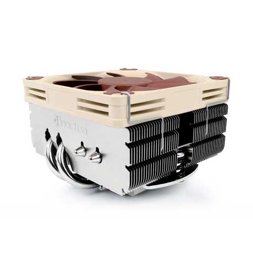 noctua